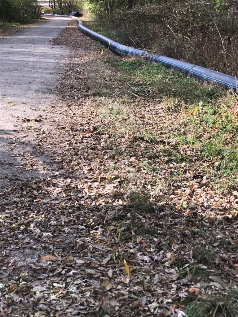 2019-11-04_001